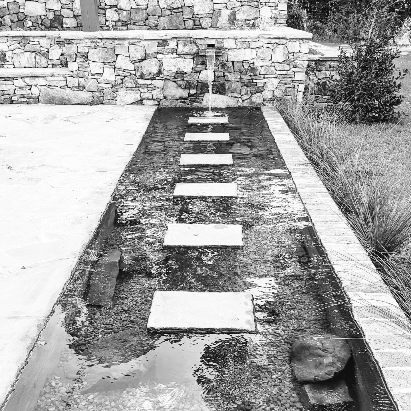 107488553_10163776510310366_7948927004628029681_n